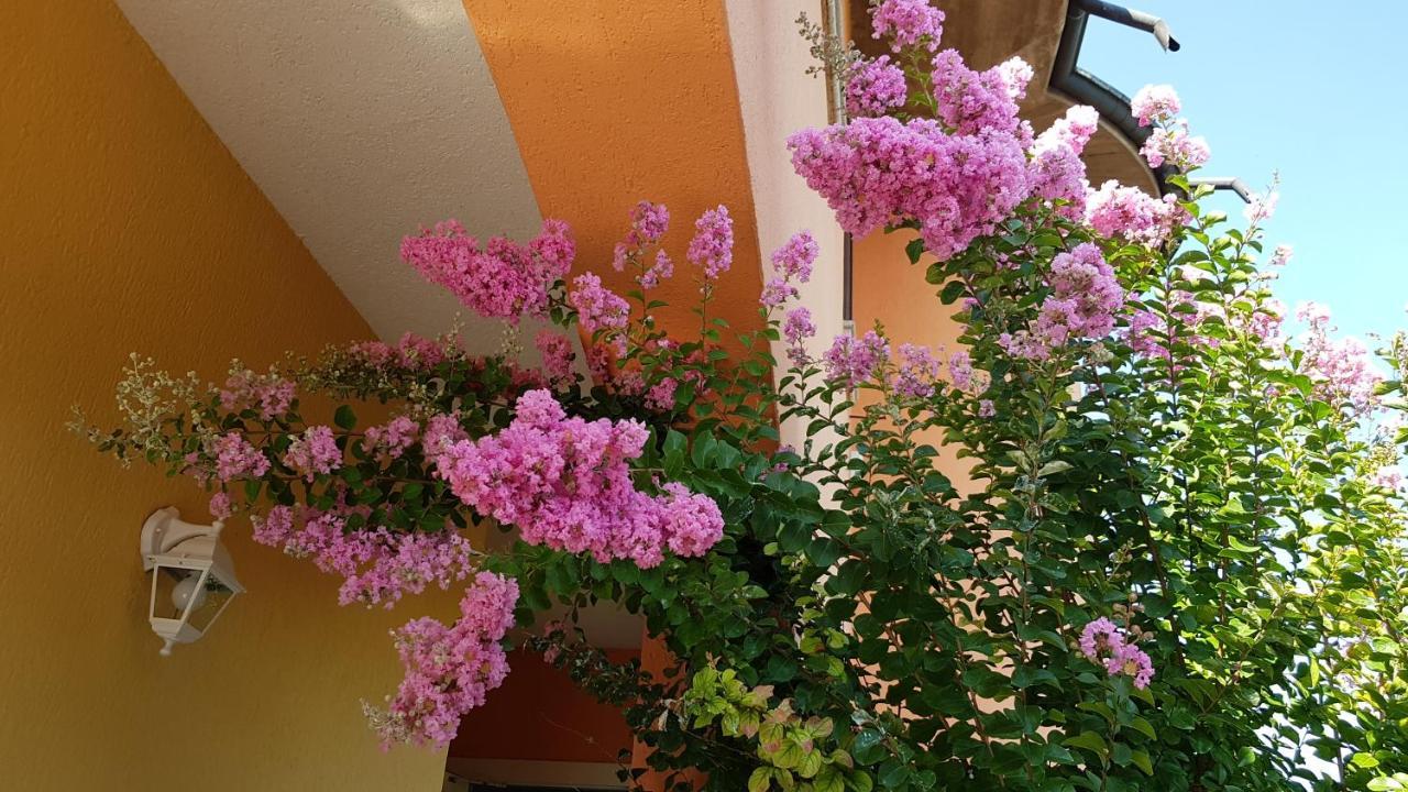 B&B Villa Giulia เดเซนซาโนเดลการ์ดา ภายนอก รูปภาพ