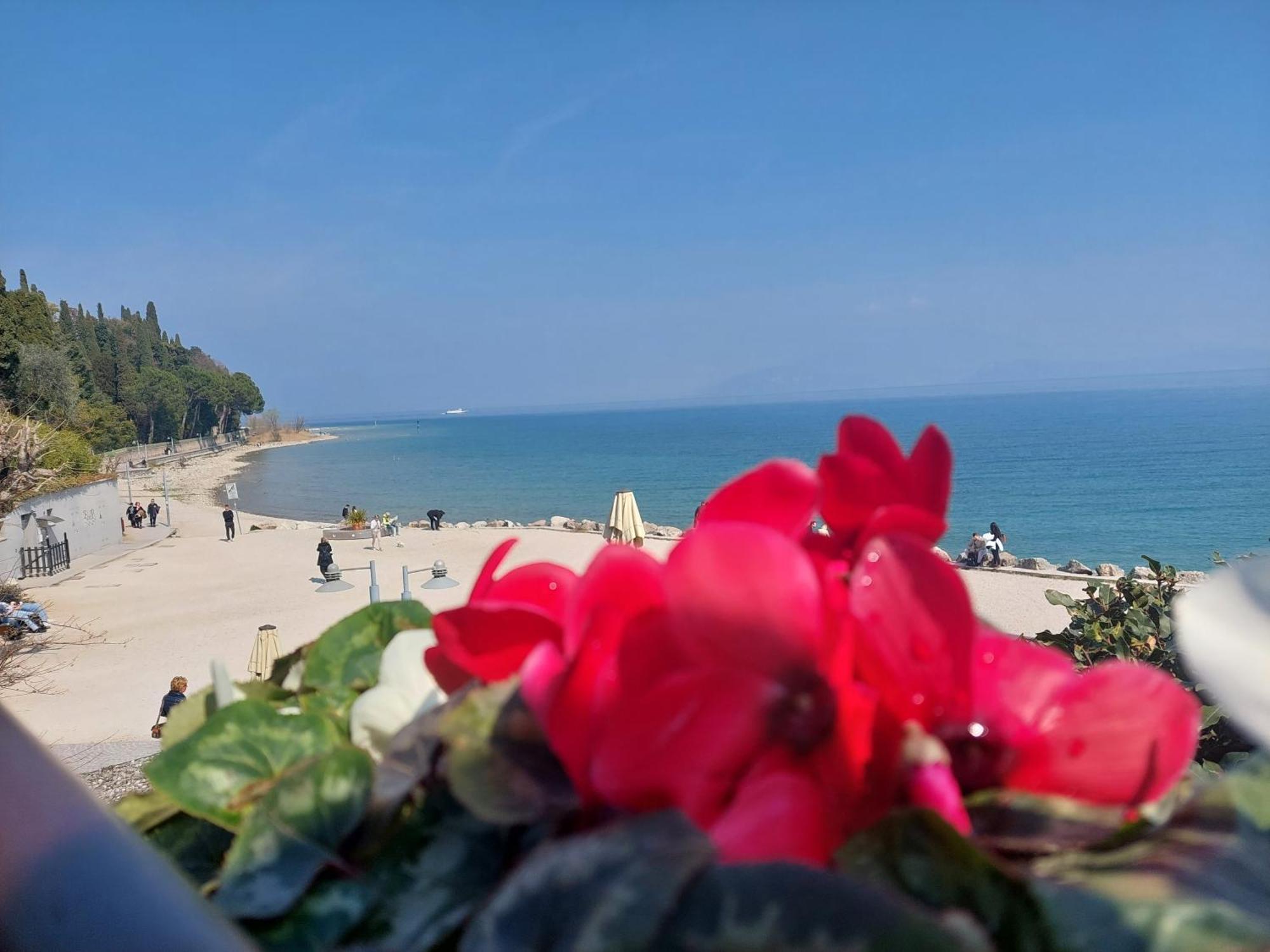 B&B Villa Giulia เดเซนซาโนเดลการ์ดา ภายนอก รูปภาพ