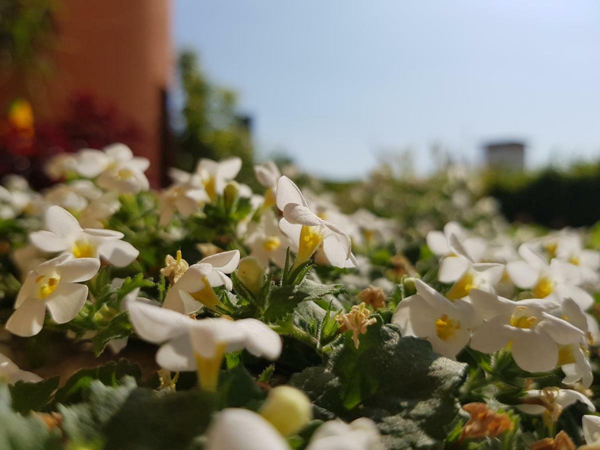 B&B Villa Giulia เดเซนซาโนเดลการ์ดา ภายนอก รูปภาพ